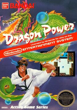 Dragon Power NA NES Box Art.jpg